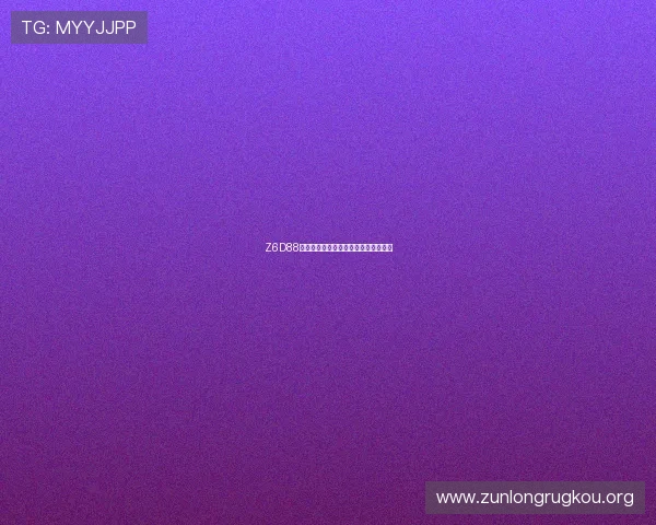 Z6D88用现的多功能应用场景及操作指南详解 Z6D88用现的多功能应用场景及操作指南详解